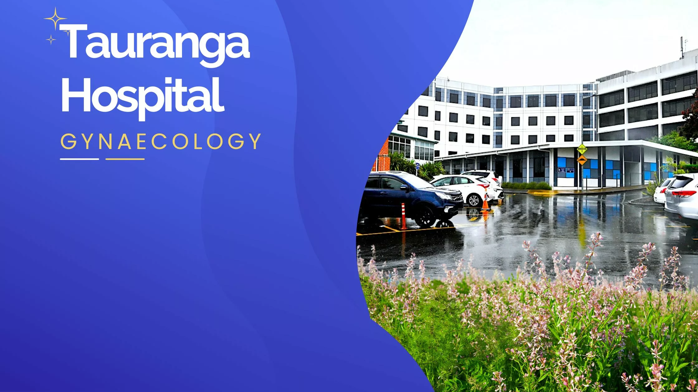 Tauranga Hospital building with parking lot and rainy weather